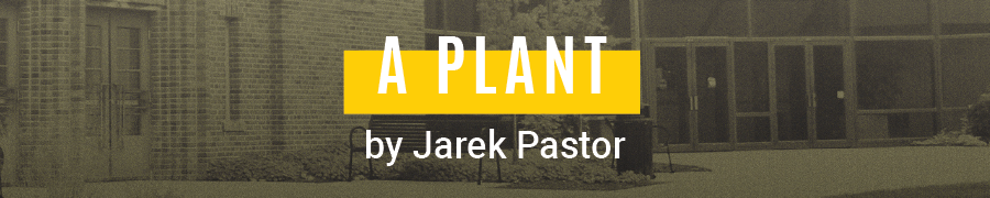 A Plant. By Jarek Pastor. Grey photo of theatre building.